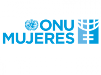 21° Convocatoria de propuestas para el Fondo Fiduciario de las Naciones Unidas